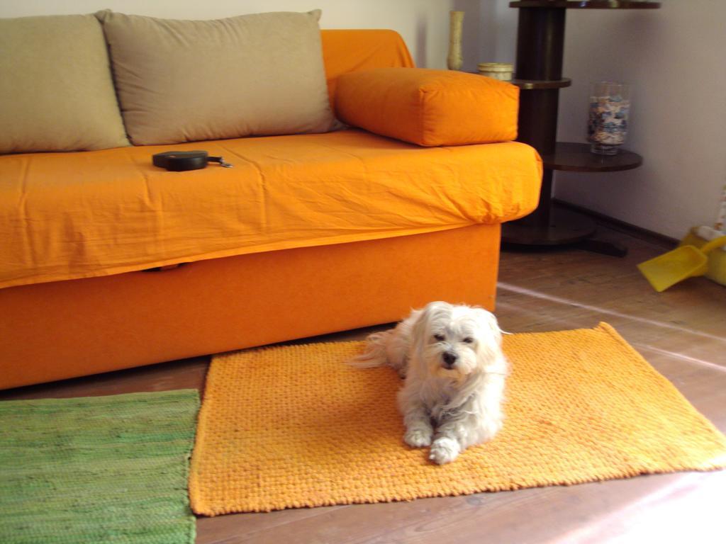 Apartment Toby スプリト 部屋 写真